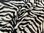 Wildlife Zebra Velboa