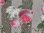 Kukka kuvioinen Dralon- kangas