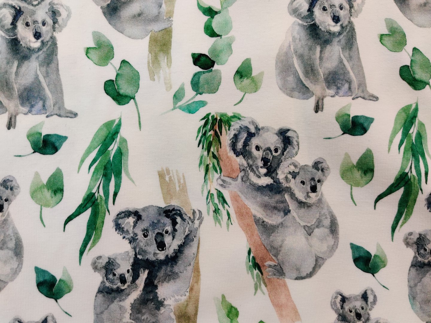 Koala- knitted fabric